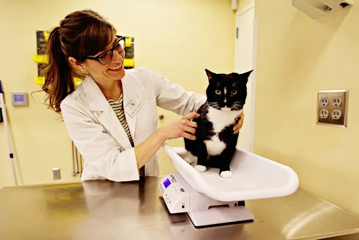 Peachtree Hills Animal Hospital 6