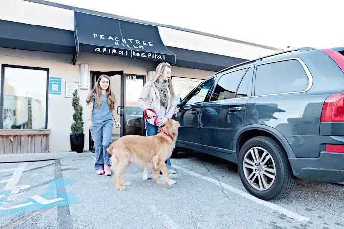 Peachtree Hills Animal Hospital 3