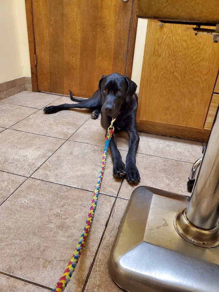 Hwy 5 Animal Hospital 12