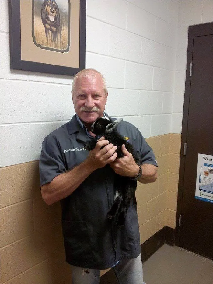 Atlanta West Veterinary Hospital 7