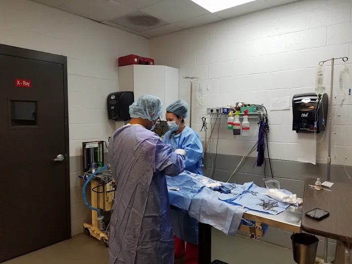 Atlanta West Veterinary Hospital 3