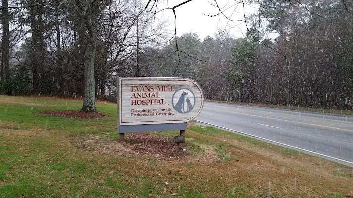 Evans Mill Animal Hospital 12
