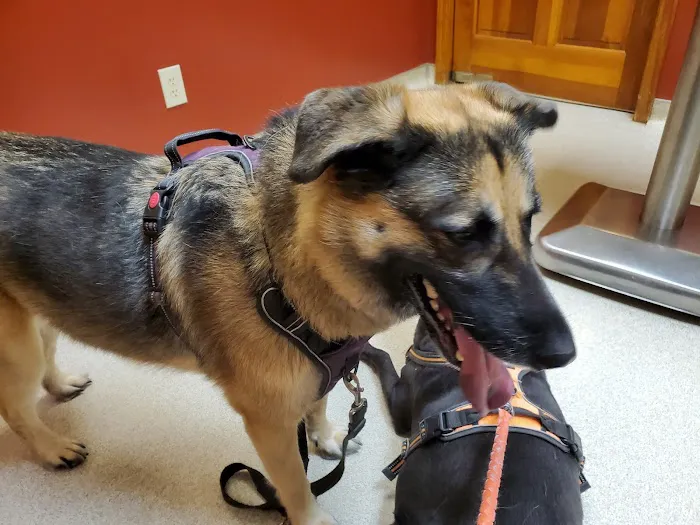Evans Mill Animal Hospital 12