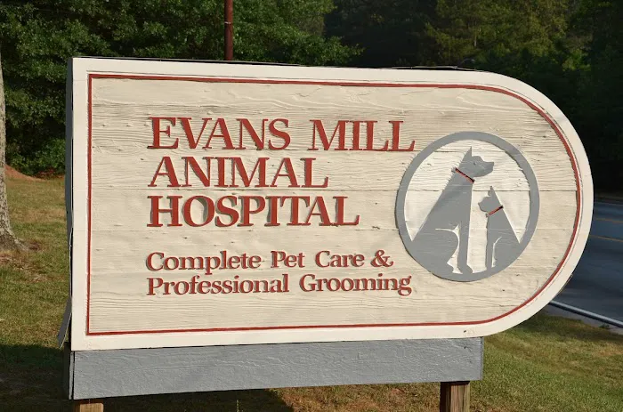 Evans Mill Animal Hospital 12