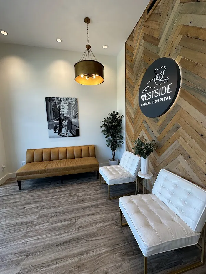 Westside Village Animal Hospital 12