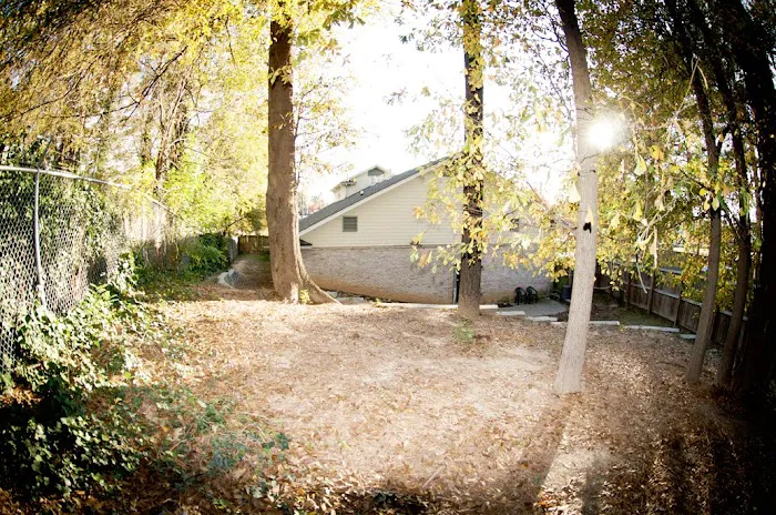 Treehouse Animal Clinic 6