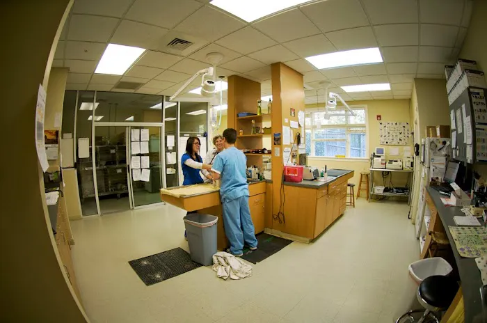 Treehouse Animal Clinic 2