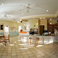 Treehouse Animal Clinic ico