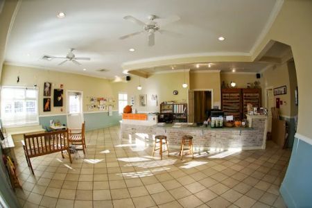 Treehouse Animal Clinic