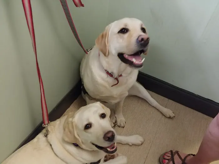 Douglas Oaks Animal Hospital 2