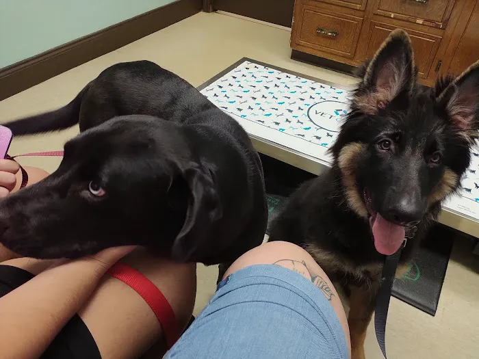 Douglas Oaks Animal Hospital 6
