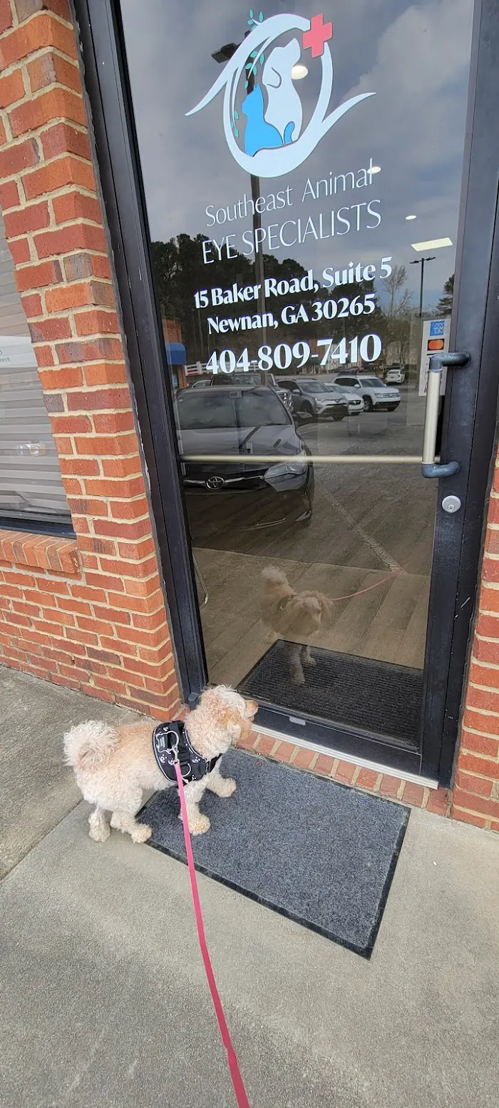 Southeast Animal Eye Specialists 12
