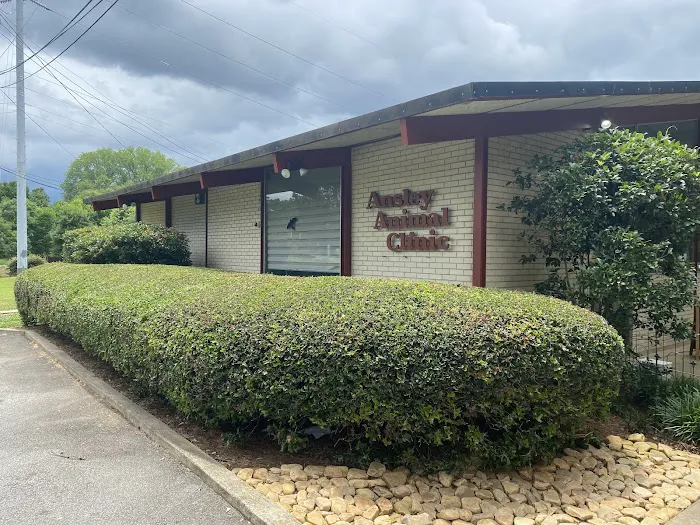 Ansley Animal Clinic 4