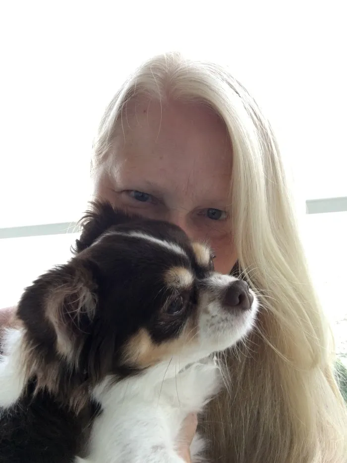 Dogwood Veterinary Hospital 12
