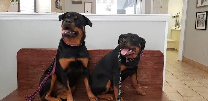 Dogwood Veterinary Hospital 12