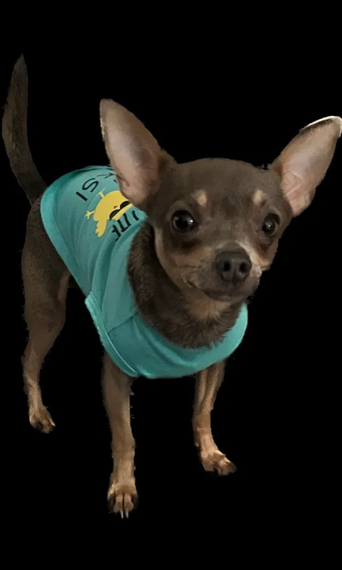 West Mobile Animal Clinic 3