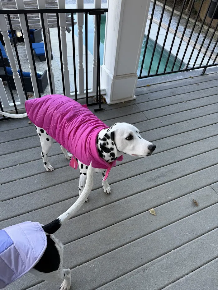 West Mobile Animal Clinic 5
