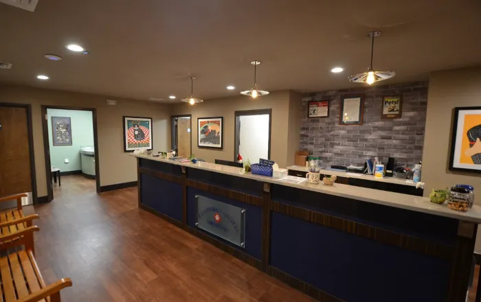 Clairmont Animal Hospital 12