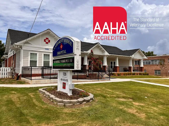 Clairmont Animal Hospital 12
