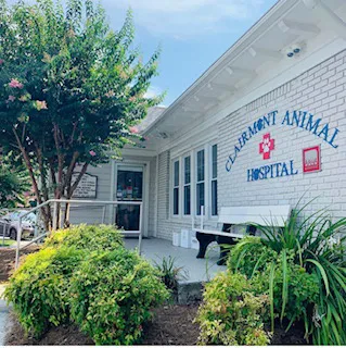 Clairmont Animal Hospital 12