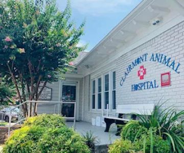 Clairmont Animal Hospital