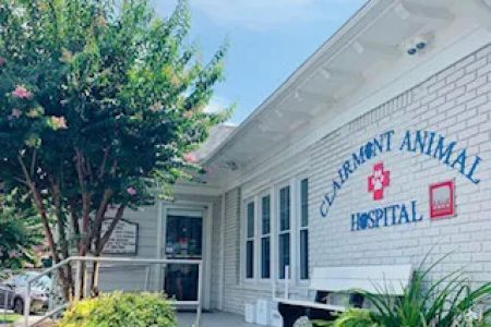 Clairmont Animal Hospital