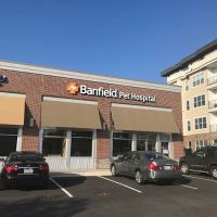 Banfield Pet Hospital ico