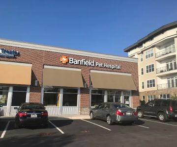 Banfield Pet Hospital