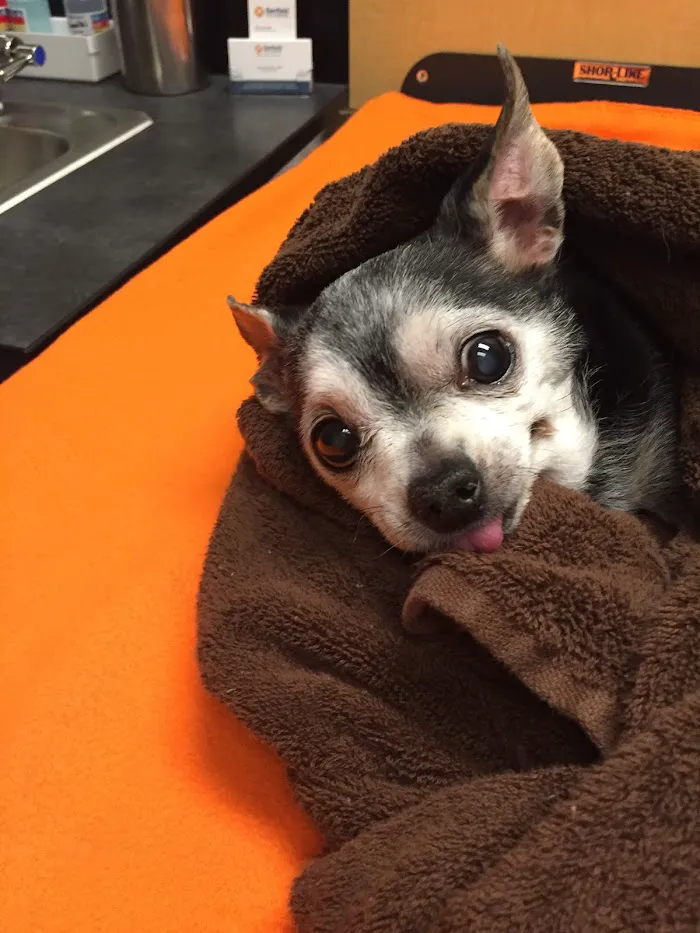 Banfield Pet Hospital 12