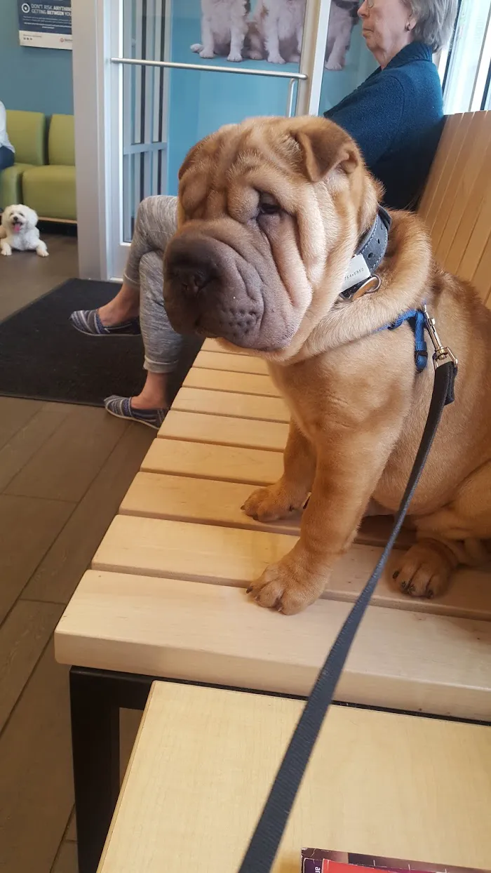 Banfield Pet Hospital 12