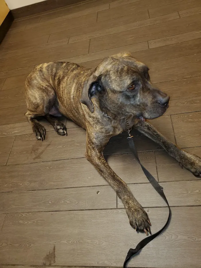 Banfield Pet Hospital 12