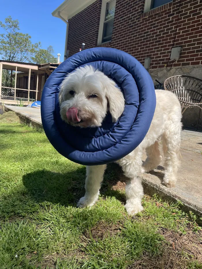 Banfield Pet Hospital 12