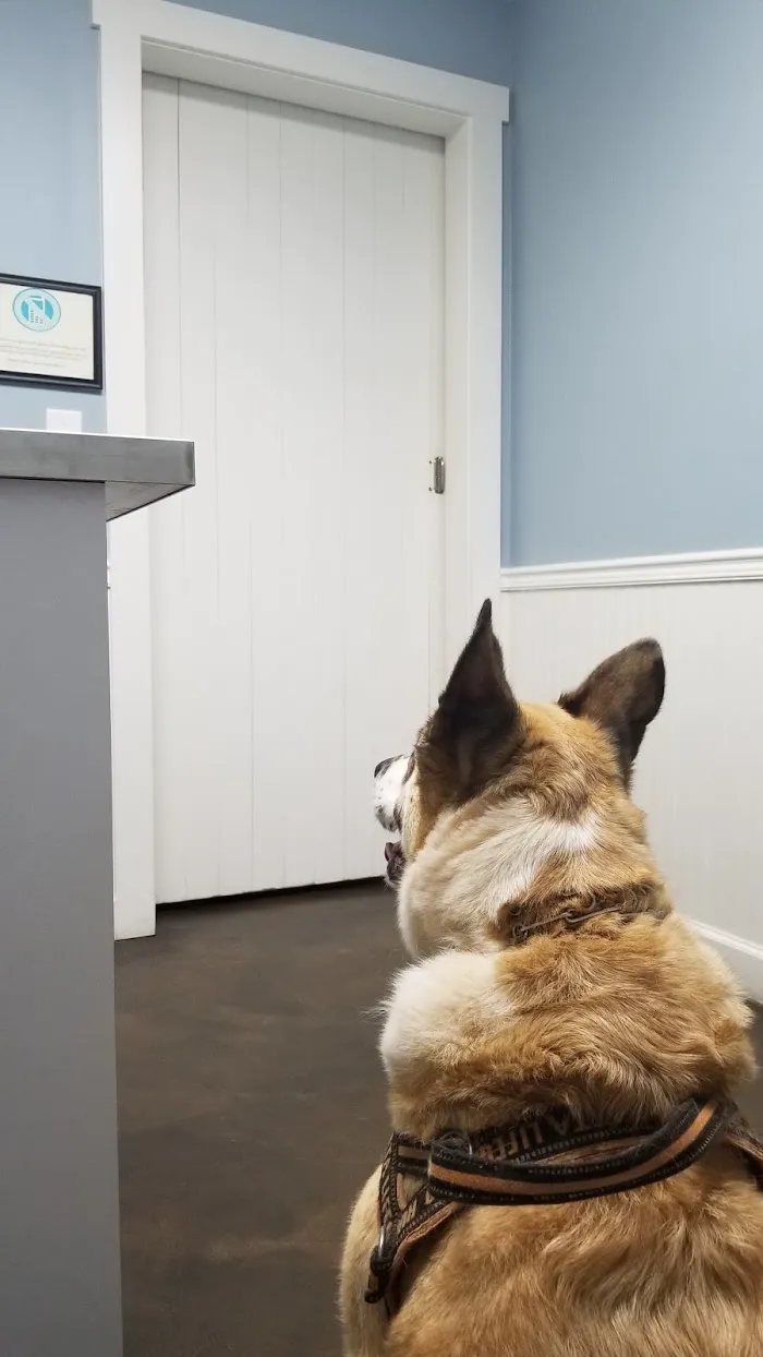 Ormewood Animal Hospital 6