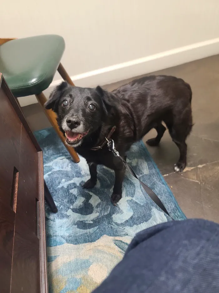 Ormewood Animal Hospital 9