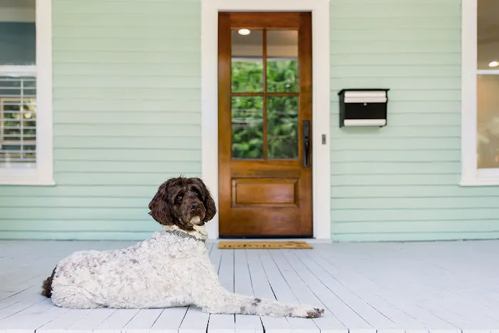 Simmons Veterinary Clinic 5