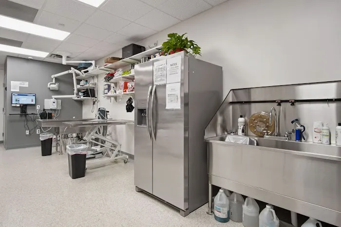 Soft Paws Animal Urgent Care and Emergency Clinic 6
