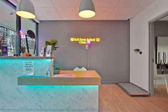 Soft Paws Animal Urgent Care and Emergency Clinic 1