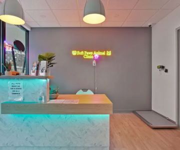 Soft Paws Animal Urgent Care and Emergency Clinic