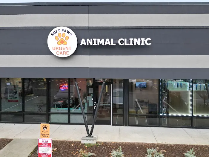 Soft Paws Animal Urgent Care and Emergency Clinic 3