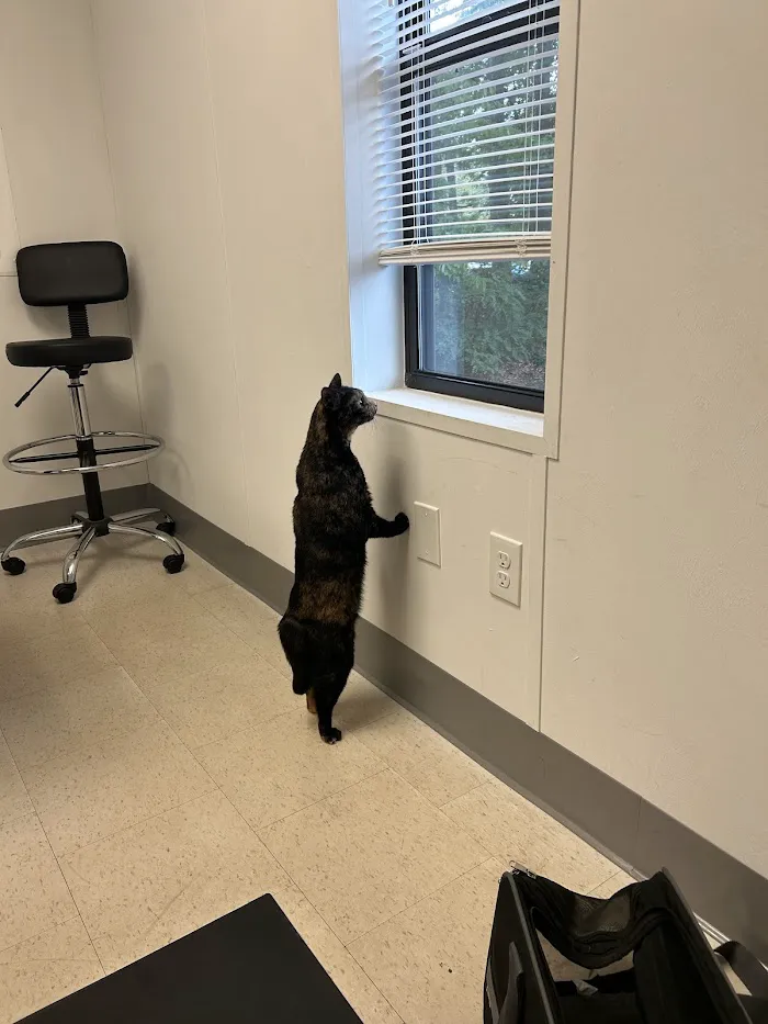 Church Street Animal Hospital 12