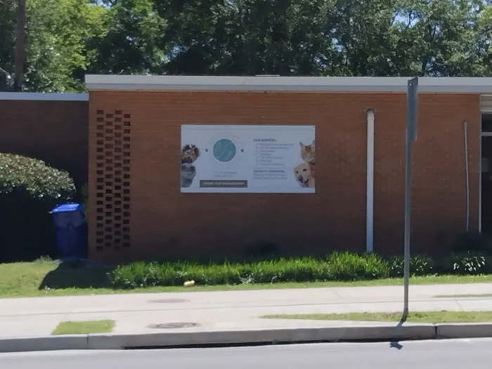 Church Street Animal Hospital 12