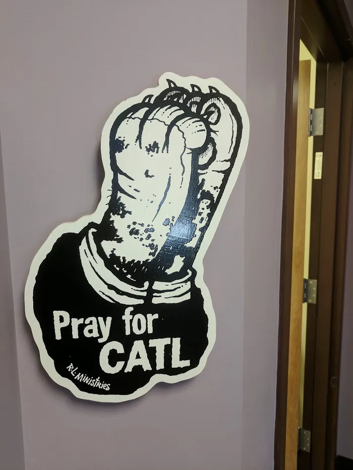 East Atlanta Animal Clinic 3
