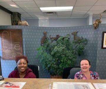 Avondale Veterinary Hospital
