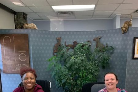 Avondale Veterinary Hospital