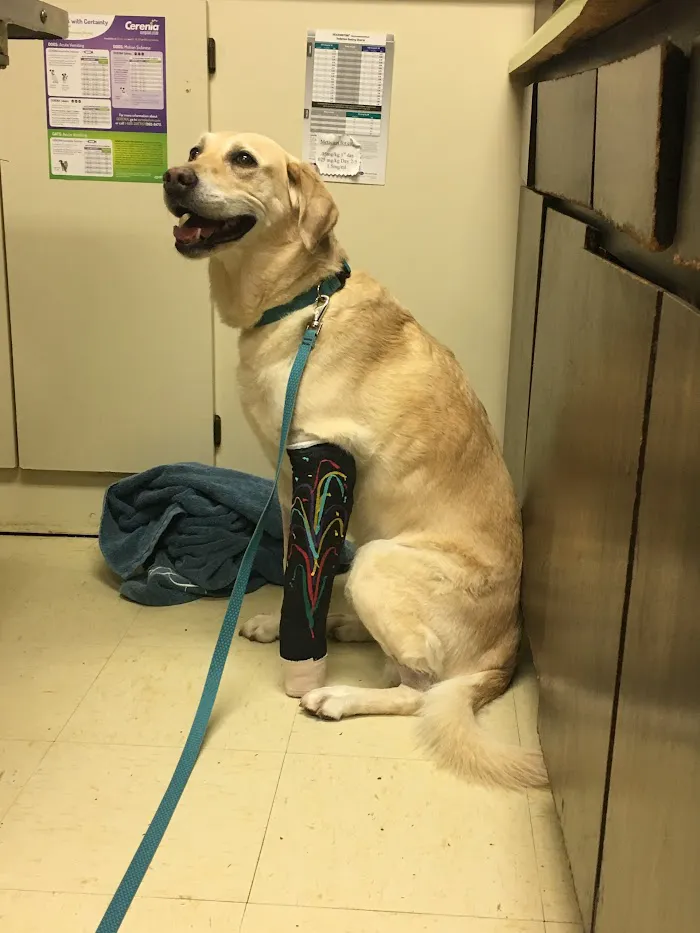 Coweta Animal Hospital 12