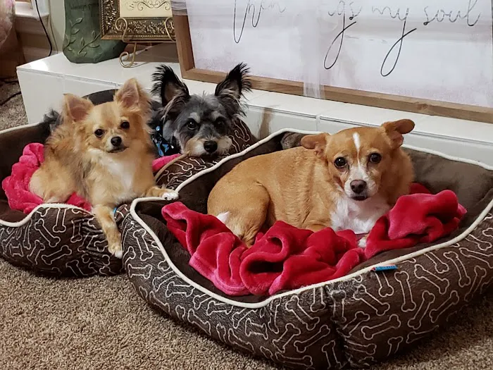 Coweta Animal Hospital 12