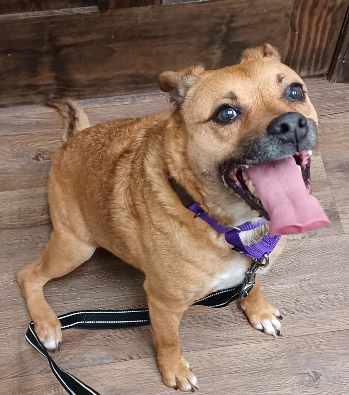 Coweta Animal Hospital 12
