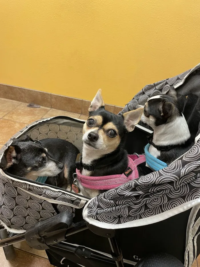 Banfield Pet Hospital 12