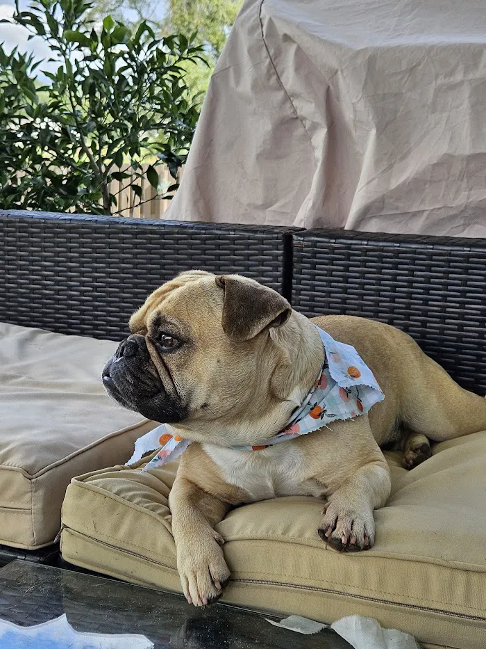 Banfield Pet Hospital 12