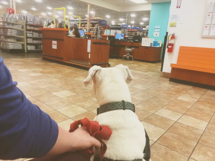 Banfield Pet Hospital 12